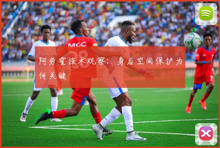 阿劳霍技术观察：身后空间保护为何关键