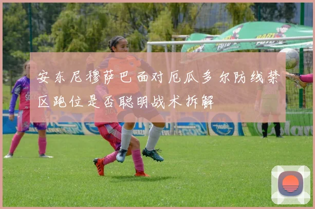 安东尼穆萨巴面对厄瓜多尔防线禁区跑位是否聪明战术拆解