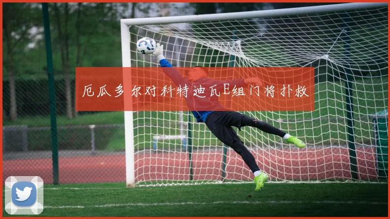 厄瓜多尔对科特迪瓦E组门将扑救