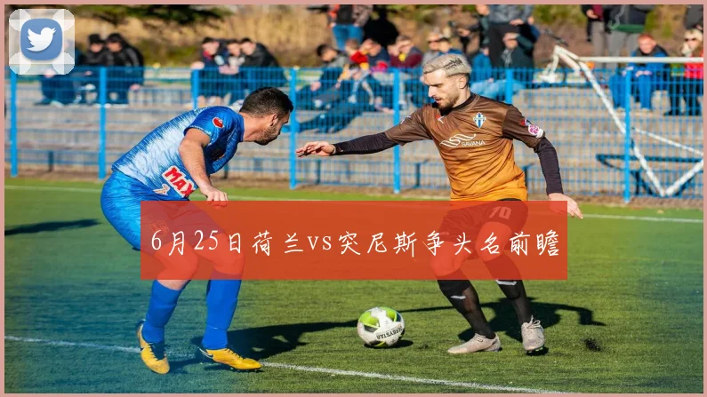 6月25日荷兰vs突尼斯争头名前瞻